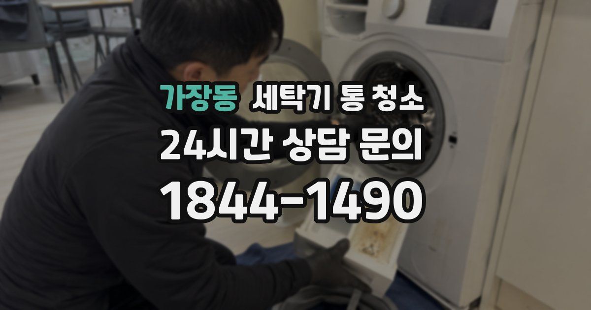 가장동 세탁기 통 청소