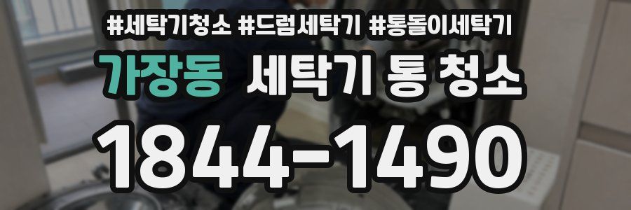 가장동 세탁기 통 청소