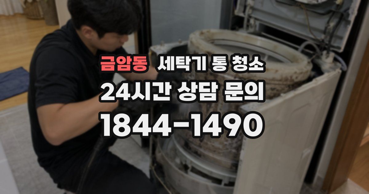 금암동 세탁기 통 청소