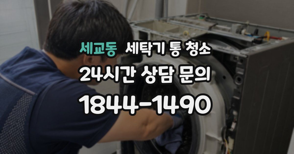 세교동 세탁기 통 청소
