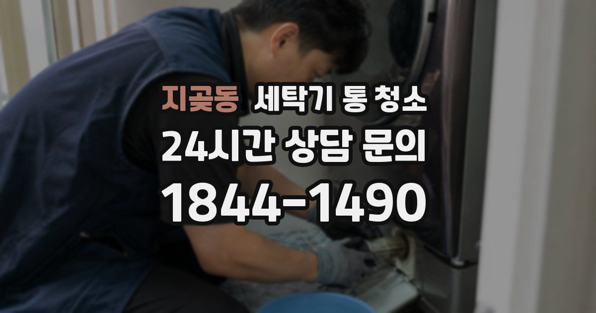 지곶동 세탁기 통 청소