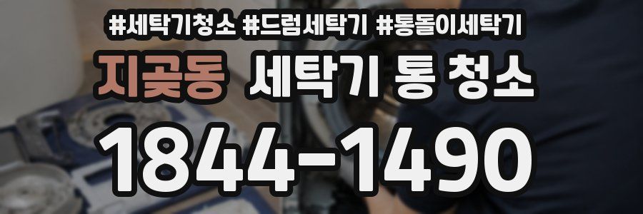 지곶동 세탁기 통 청소