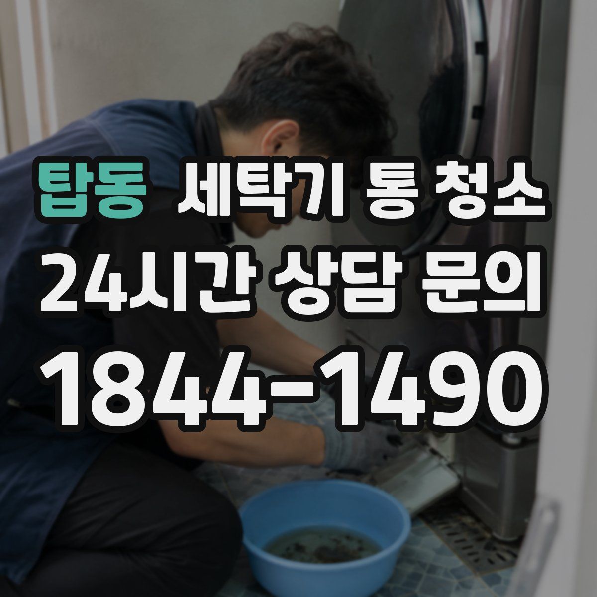 탑동 세탁기 통 청소