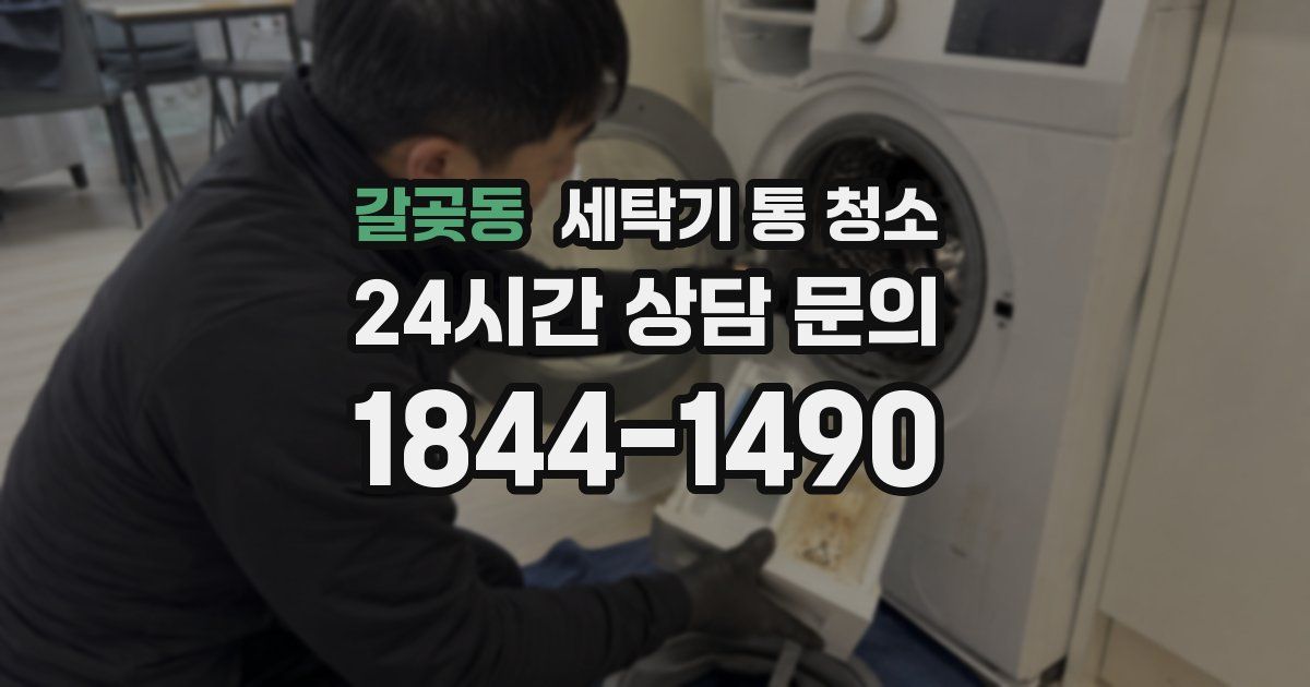 갈곶동 세탁기 통 청소