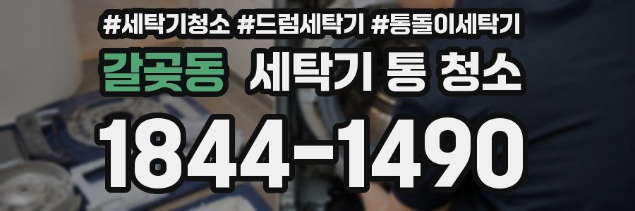 갈곶동 세탁기 통 청소
