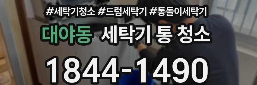 대야동 세탁기 통 청소