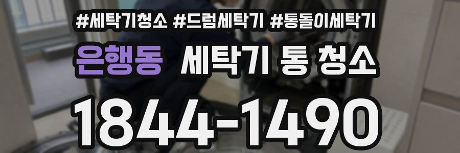 은행동 세탁기 통 청소
