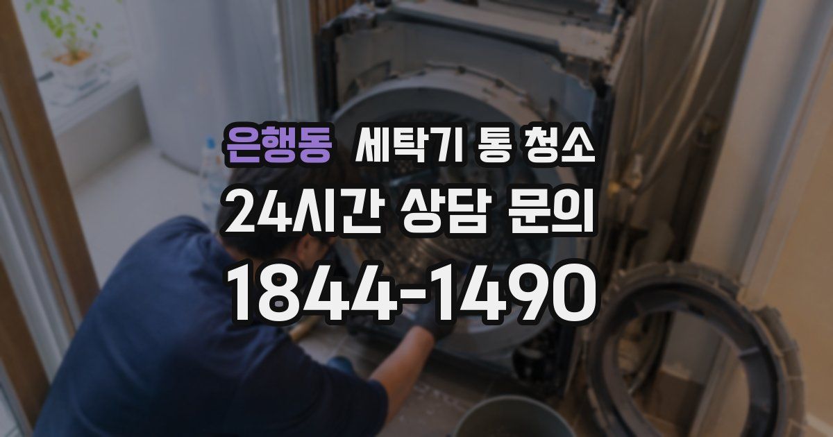 은행동 세탁기 통 청소