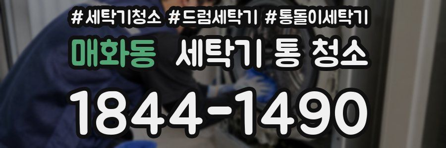 매화동 세탁기 통 청소