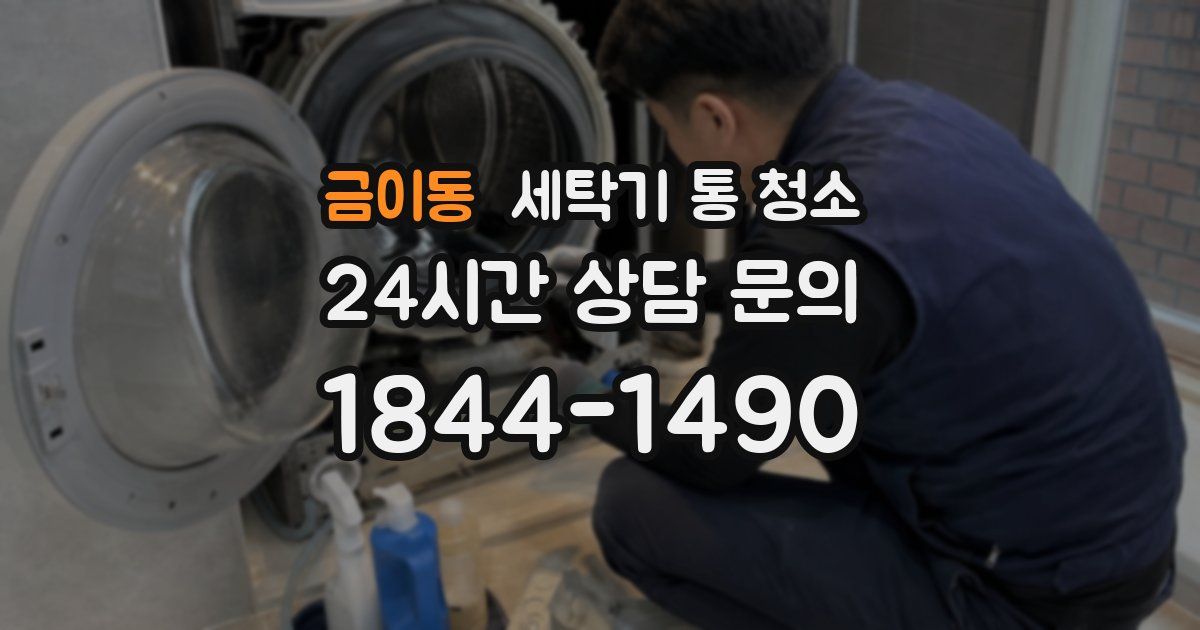금이동 세탁기 통 청소