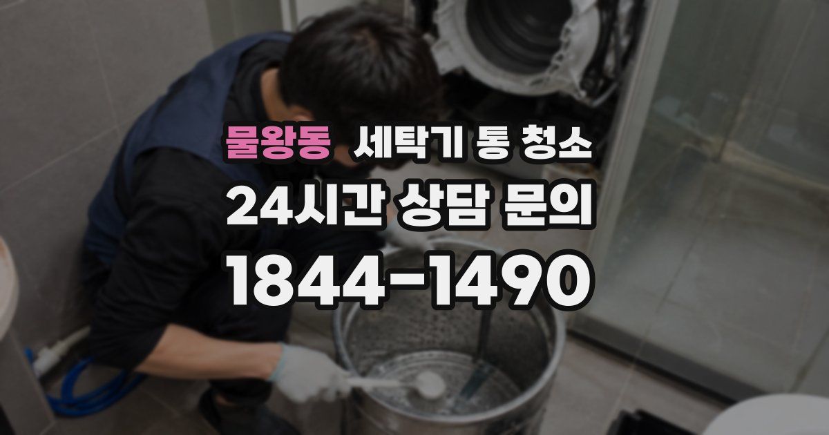 물왕동 세탁기 통 청소