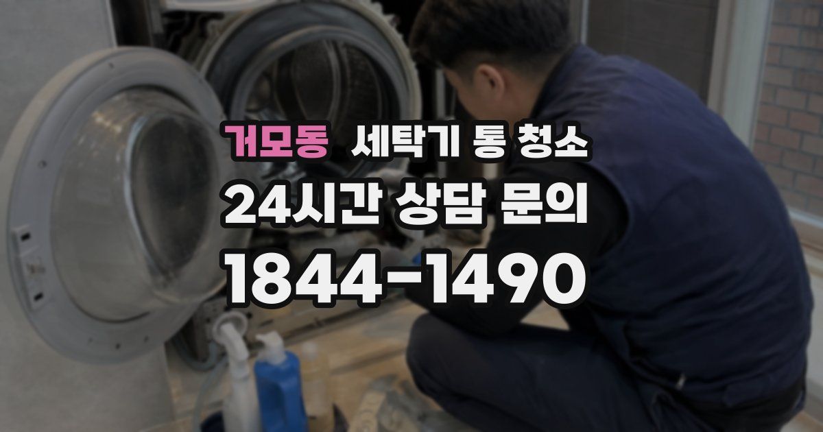거모동 세탁기 통 청소