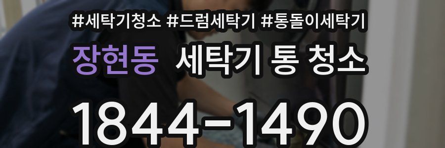 장현동 세탁기 통 청소