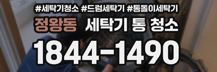 정왕동 세탁기 통 청소