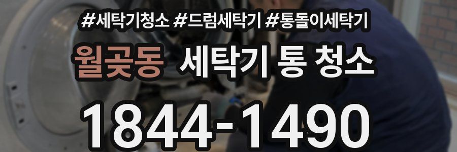 월곶동 세탁기 통 청소