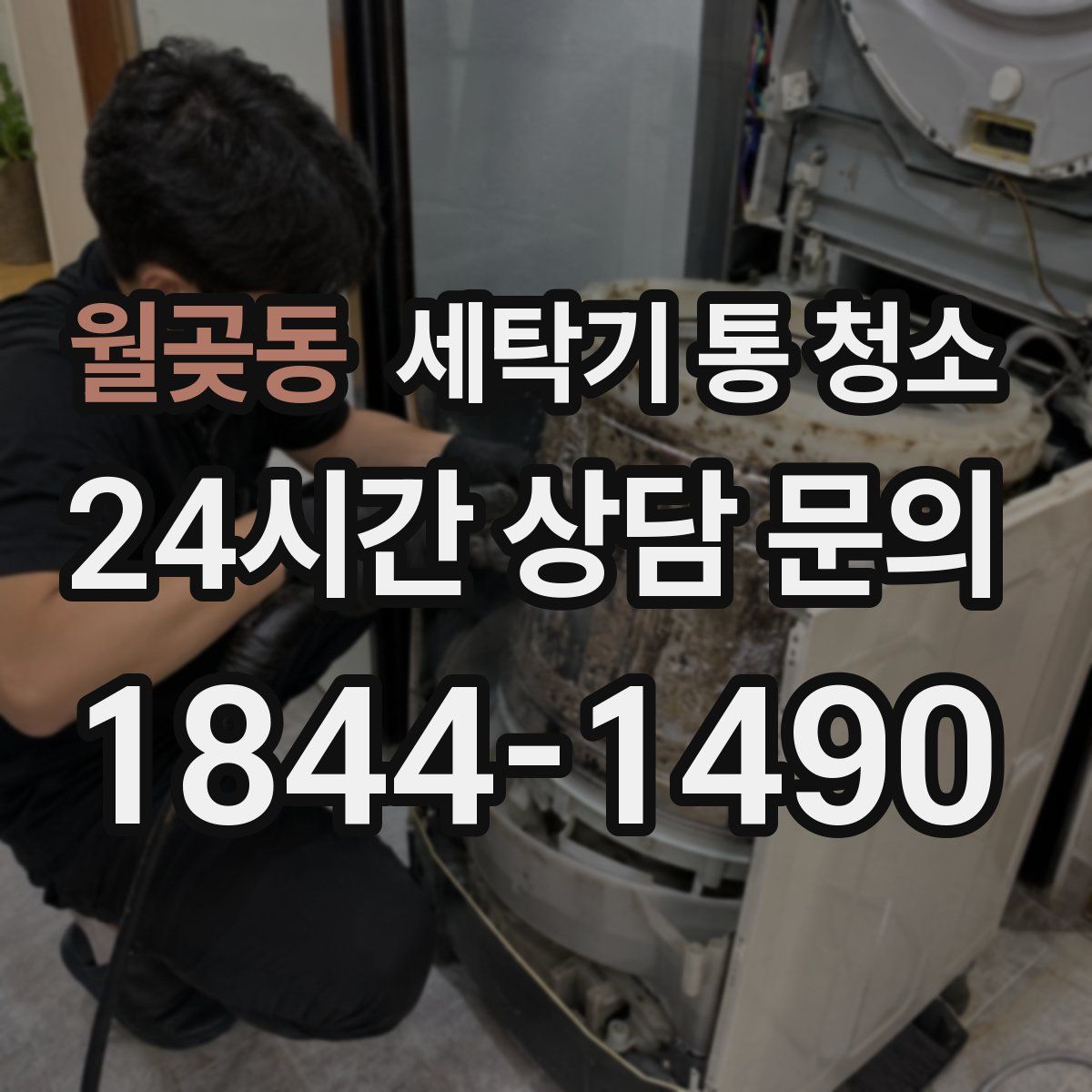 월곶동 세탁기 통 청소