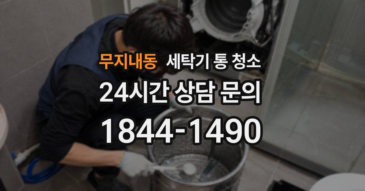 무지내동 세탁기 통 청소