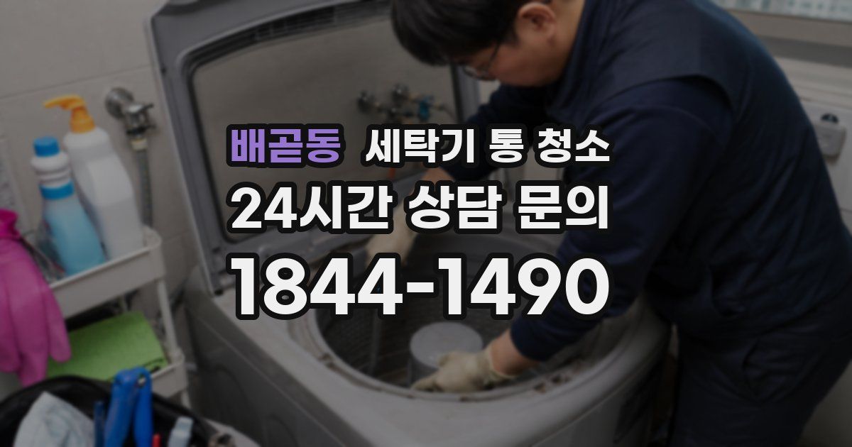 배곧동 세탁기 통 청소