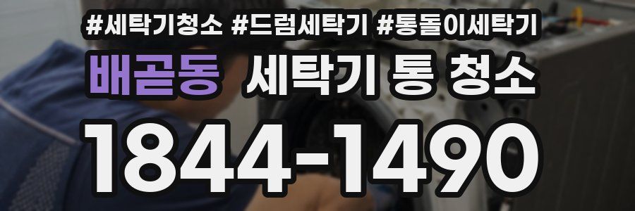 배곧동 세탁기 통 청소