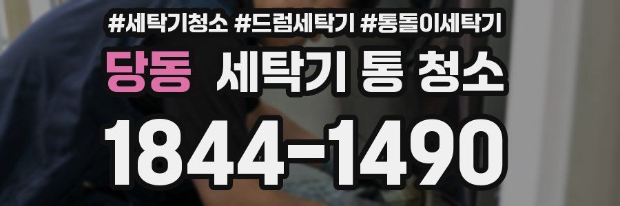 당동 세탁기 통 청소