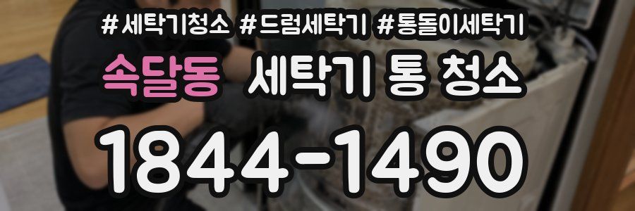 속달동 세탁기 통 청소