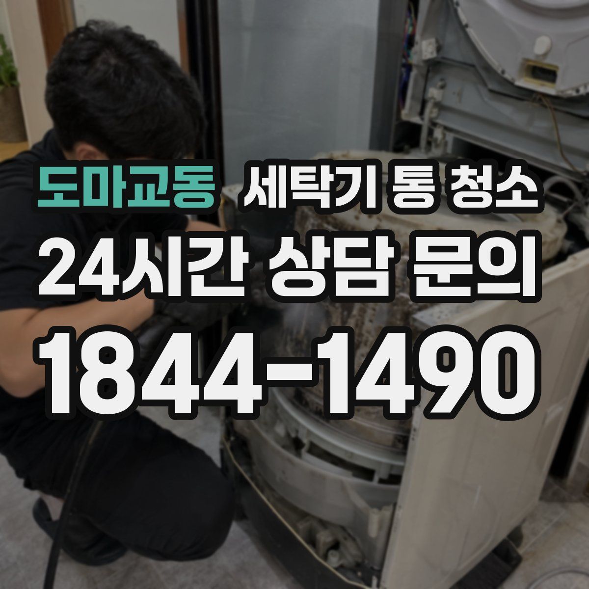 도마교동 세탁기 통 청소