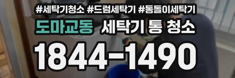 도마교동 세탁기 통 청소