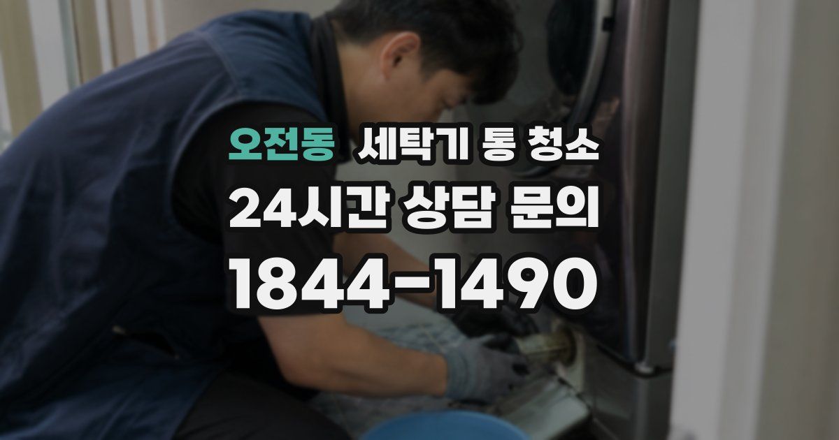 오전동 세탁기 통 청소