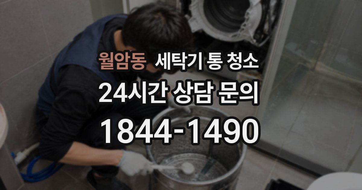 월암동 세탁기 통 청소