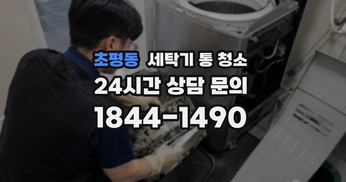 초평동 세탁기 통 청소