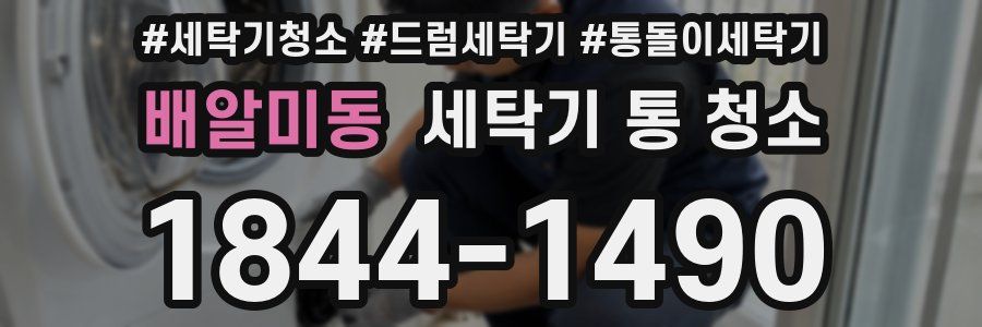 배알미동 세탁기 통 청소
