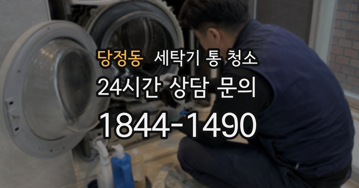 당정동 세탁기 통 청소
