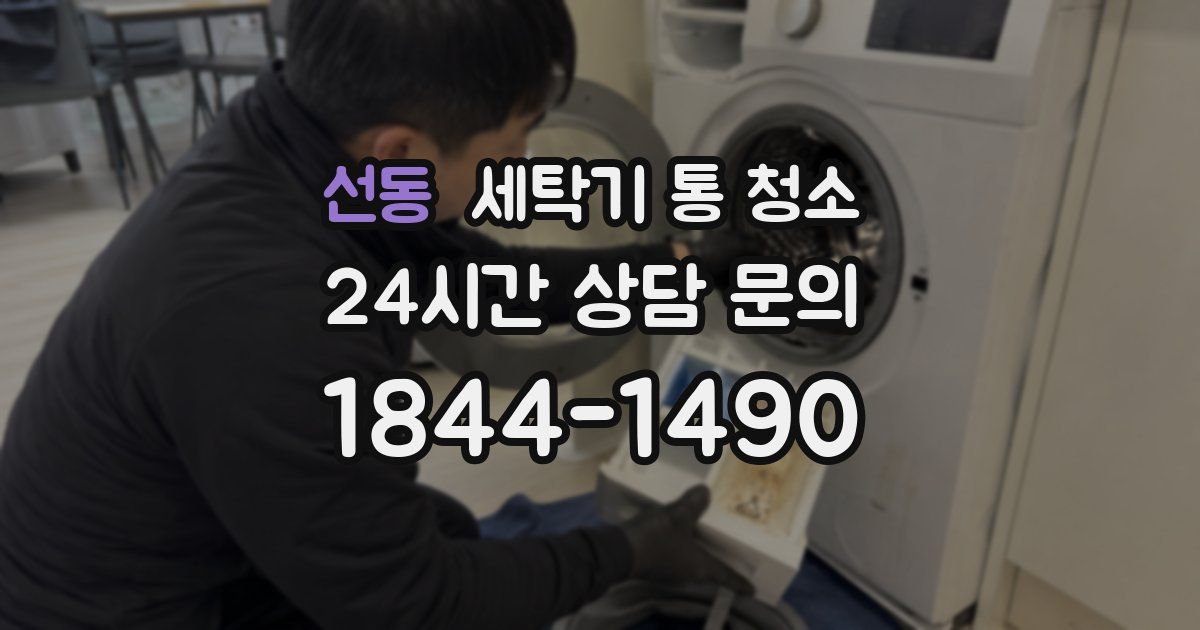 선동 세탁기 통 청소