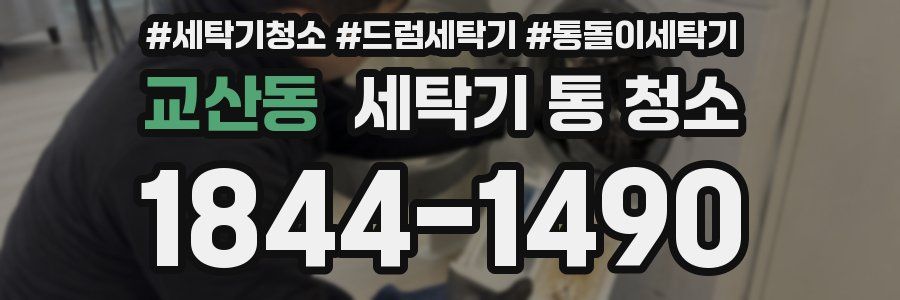 교산동 세탁기 통 청소