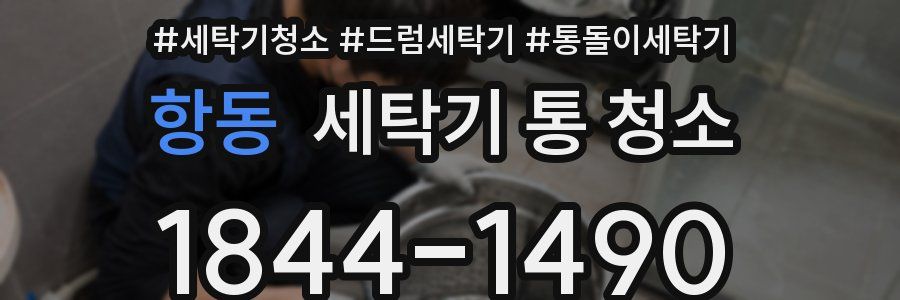 항동 세탁기 통 청소