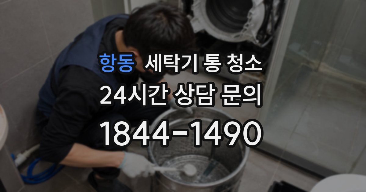 항동 세탁기 통 청소