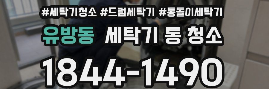 유방동 세탁기 통 청소