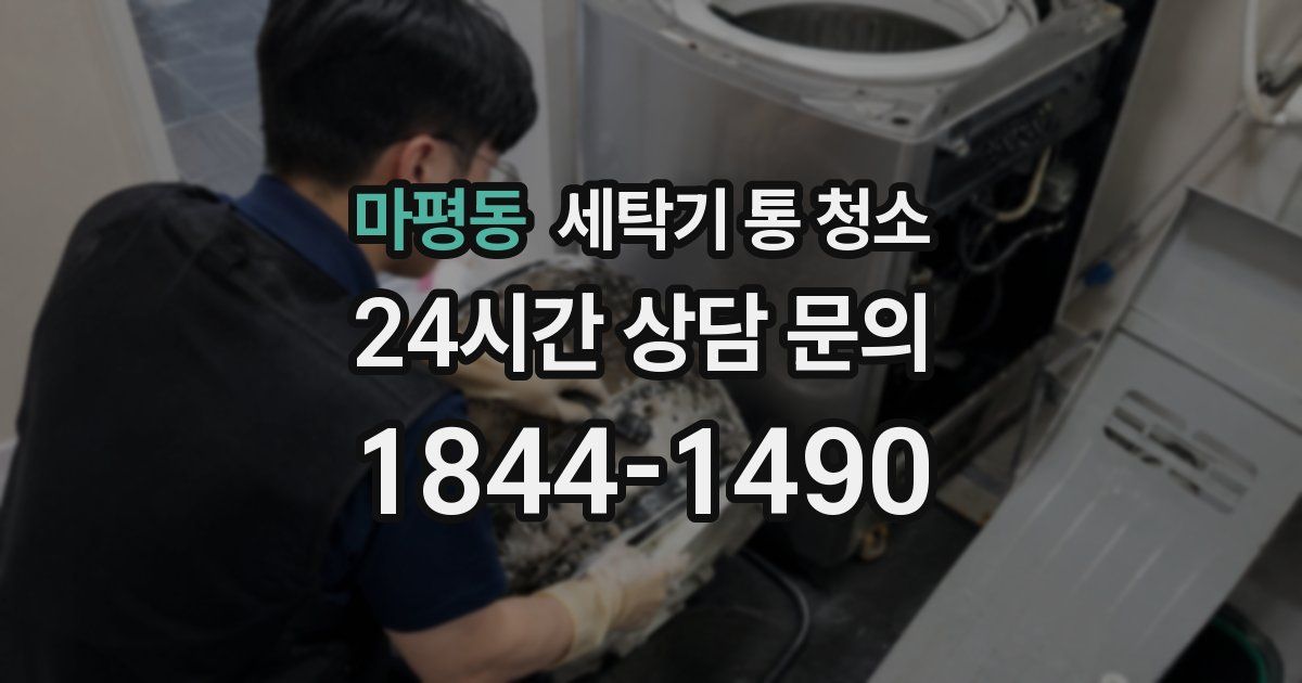 마평동 세탁기 통 청소