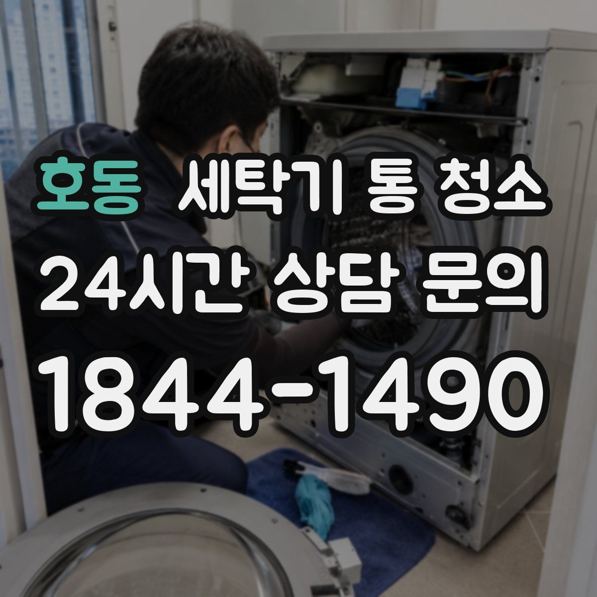 호동 세탁기 통 청소