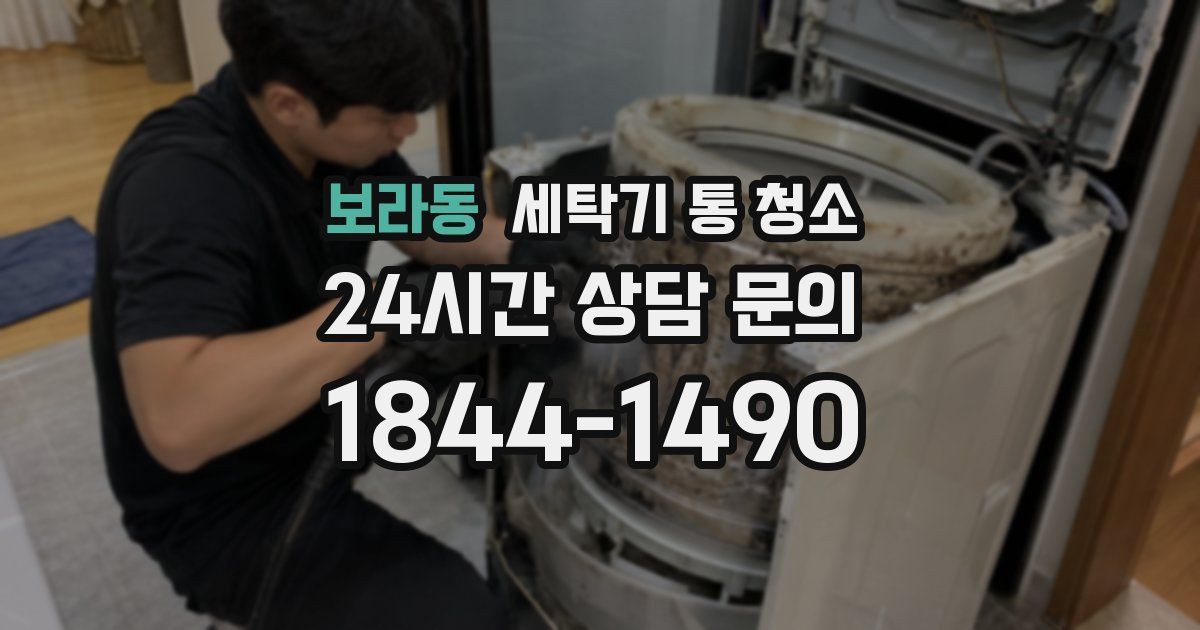 보라동 세탁기 통 청소