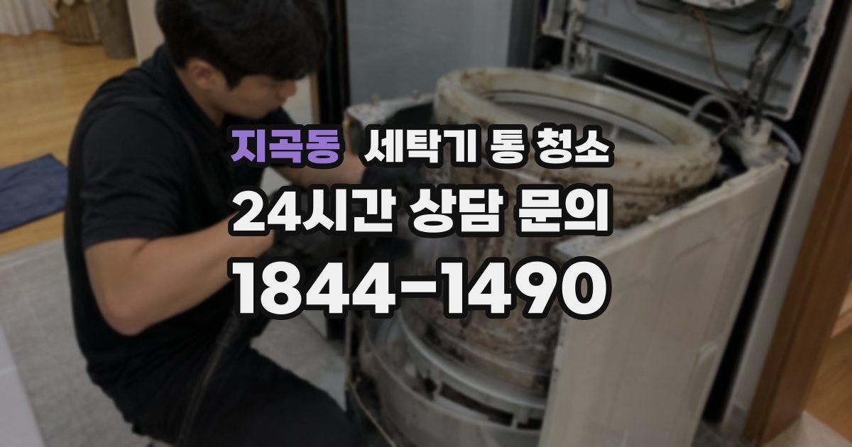 지곡동 세탁기 통 청소