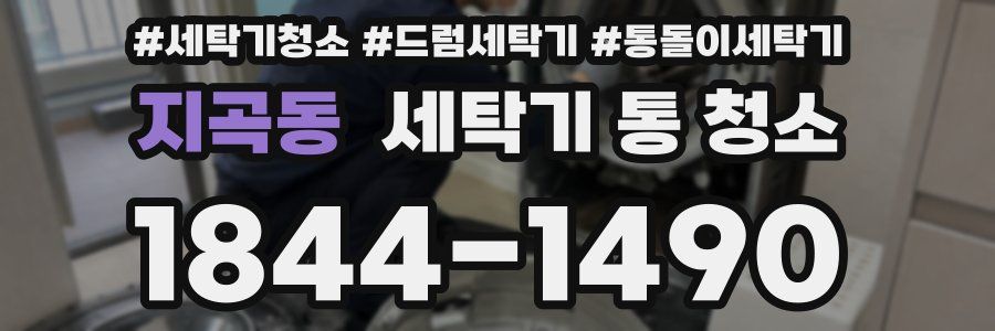지곡동 세탁기 통 청소