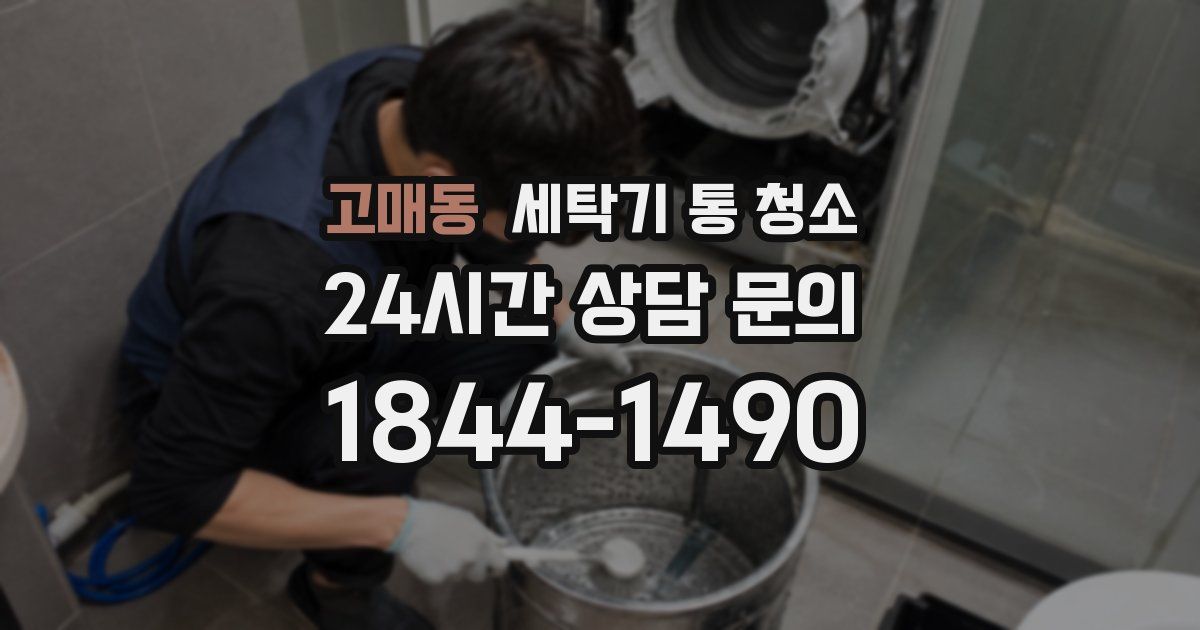 고매동 세탁기 통 청소