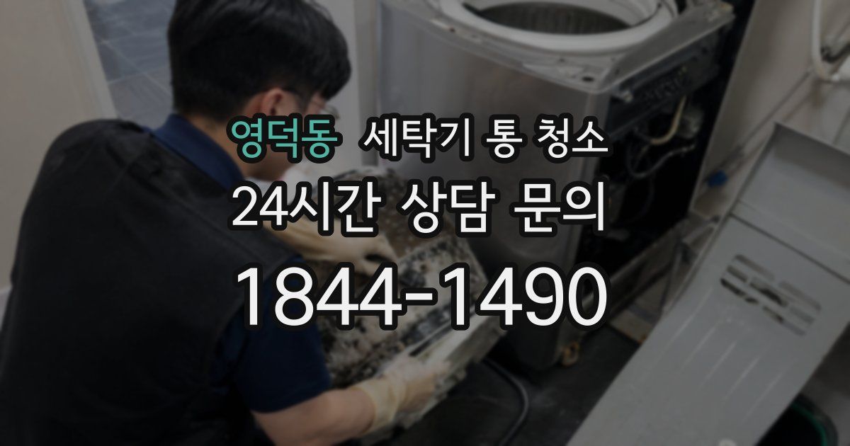 영덕동 세탁기 통 청소