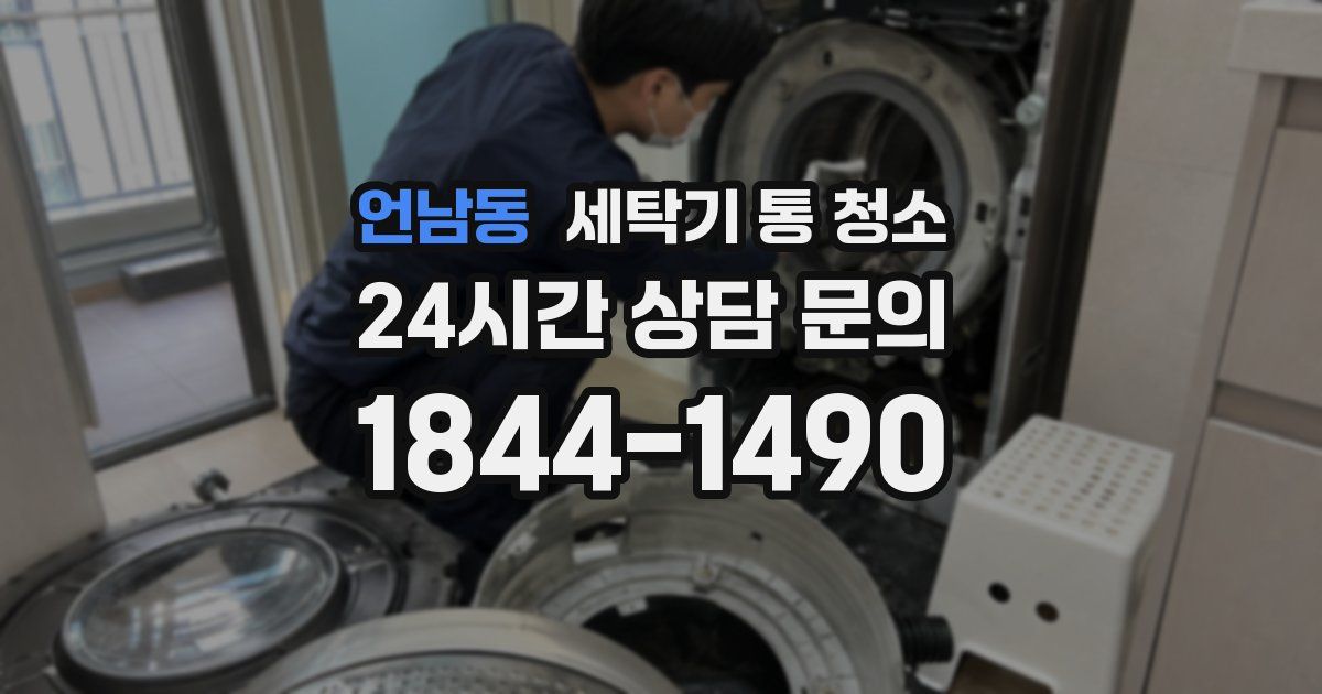 언남동 세탁기 통 청소