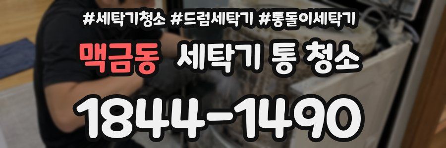 맥금동 세탁기 통 청소