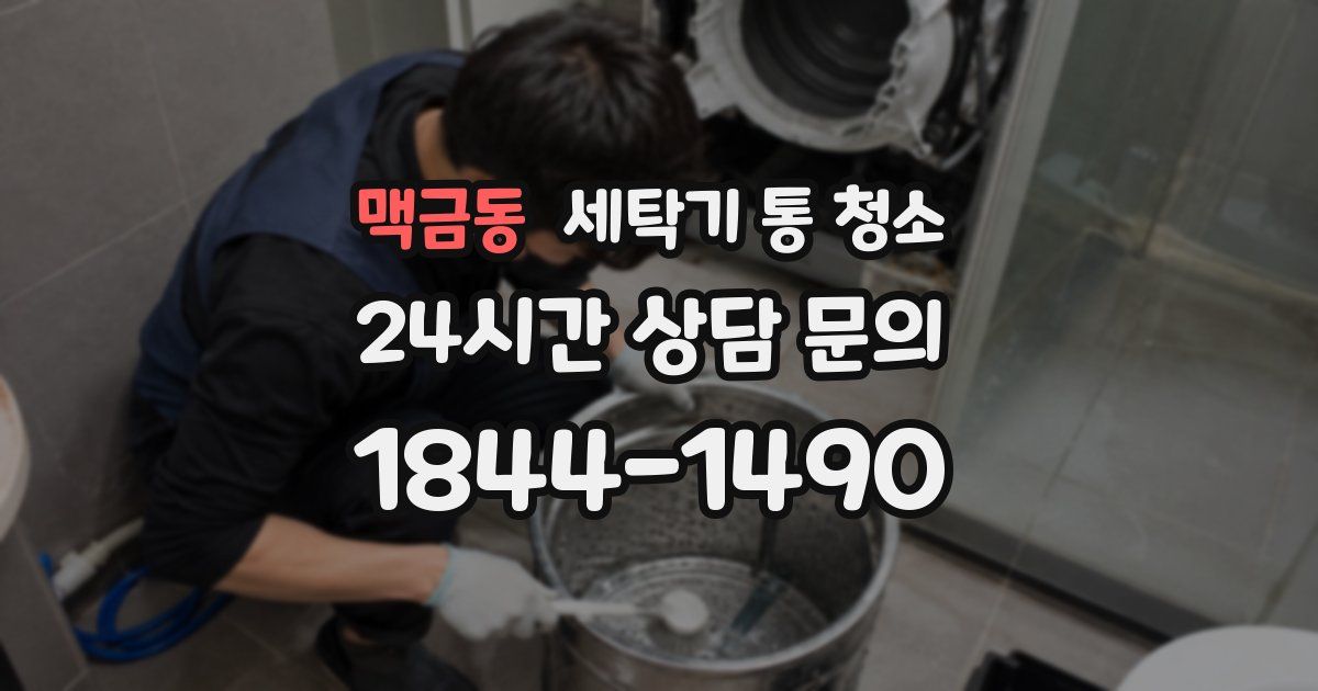 맥금동 세탁기 통 청소