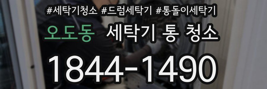 오도동 세탁기 통 청소