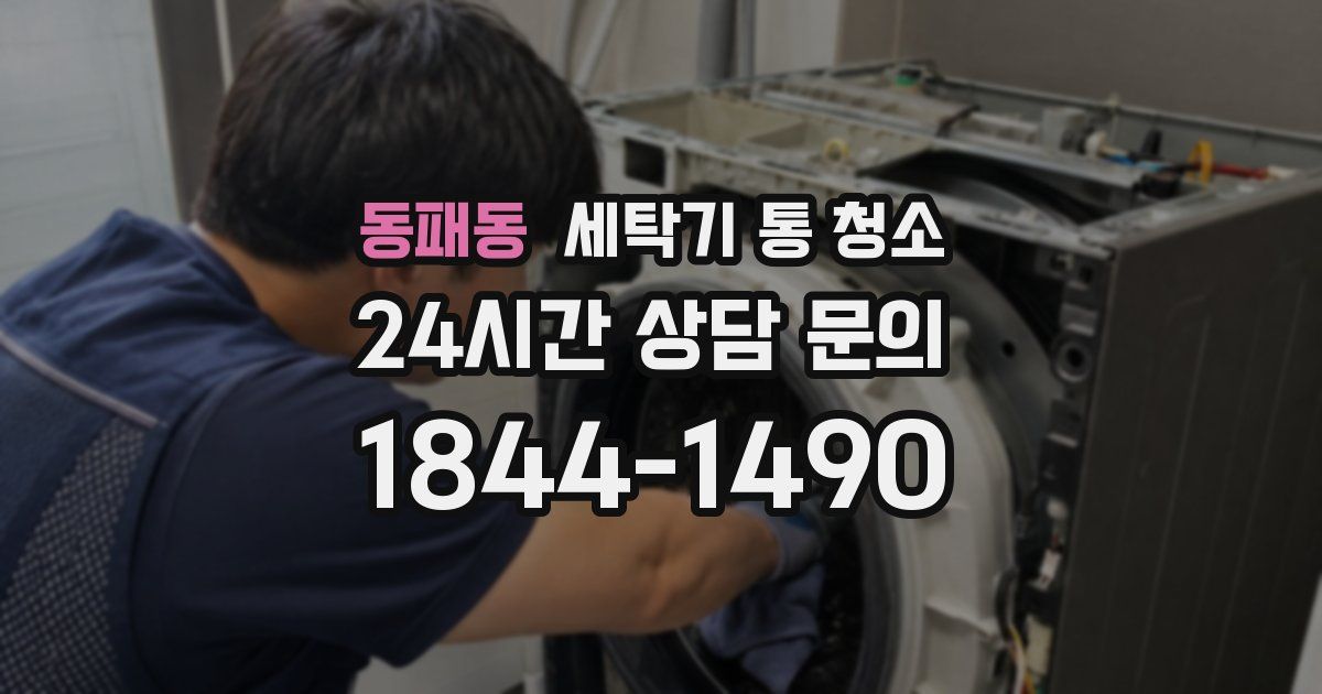 동패동 세탁기 통 청소