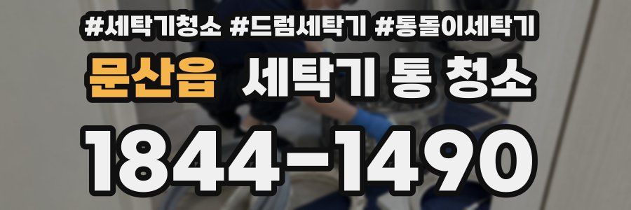 문산읍 세탁기 통 청소